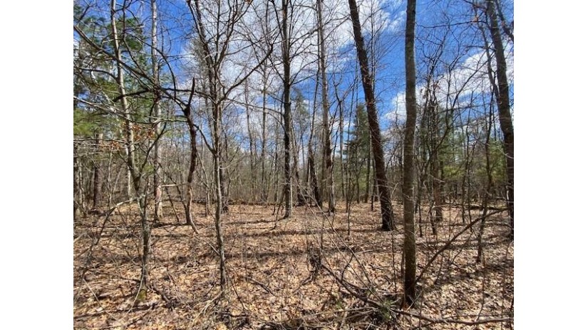 Lot 2 Pash Drive Trego, WI 54888 by Lakewoods Real Estate $115,000