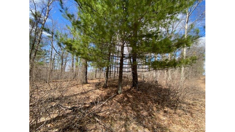 Lot 2 Pash Drive Trego, WI 54888 by Lakewoods Real Estate $115,000