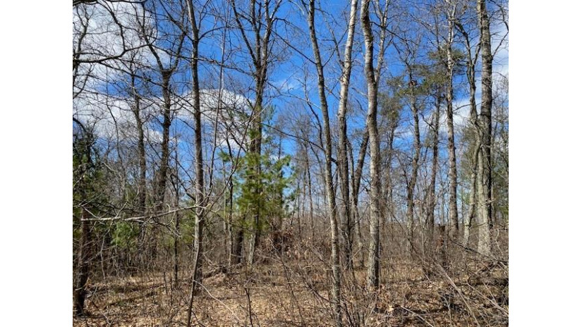 Lot 2 Pash Drive Trego, WI 54888 by Lakewoods Real Estate $115,000