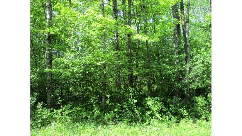 LOT #19, BLOCK #25 Eden Avenue Birchwood, WI 54817 by Dane Arthur Real Estate Agency/Birchwood $15,000