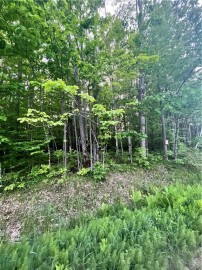 Lot 2 Universal Drive, Winter, WI 54896