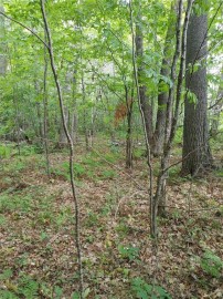 Lot 12 Peninsula Road, Hayward, WI 54843