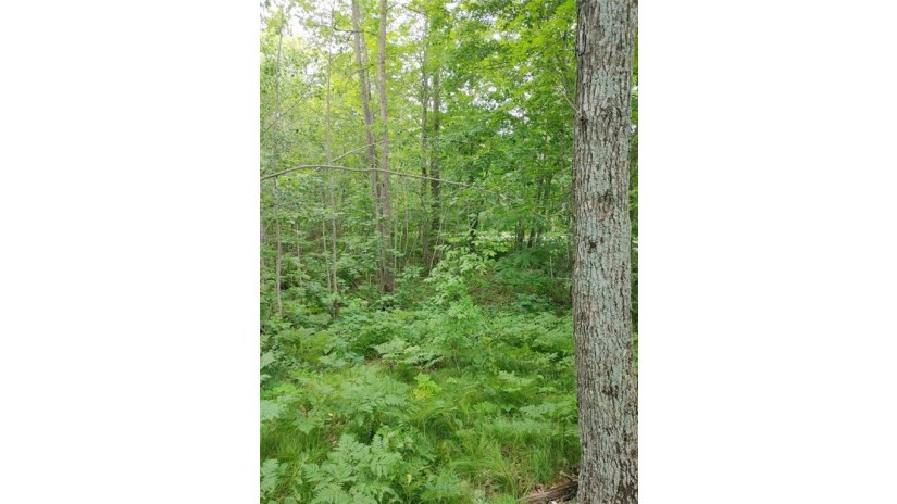 Lot 12 Peninsula Road Hayward, WI 54843 by Re/Max Preferred $49,500