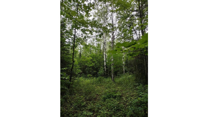 39XX South County Road O Maple, WI 54854 by Timber Ghost Realty Llc $57,500