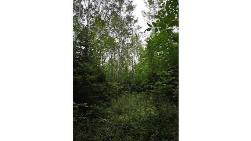 39XX South County Road O Maple, WI 54854 by Timber Ghost Realty Llc $57,500