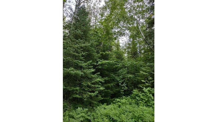 39XX South County Road O Maple, WI 54854 by Timber Ghost Realty Llc $57,500