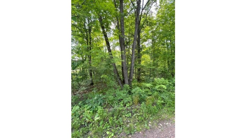 0 Wild Wood Lane Birchwood, WI 54817 by Associated Realty Llc $34,900