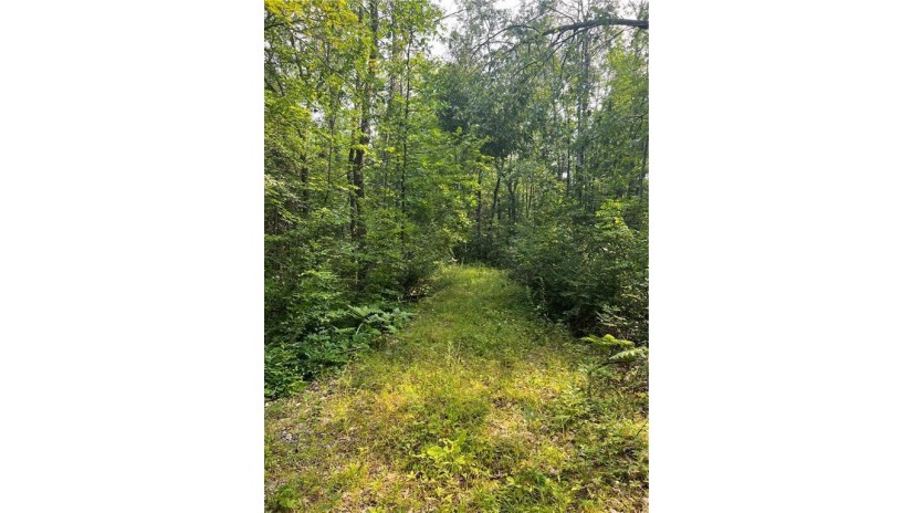 W8804 Timber Tr E Ladysmith, WI 54848 by Associated Realty Llc $69,900