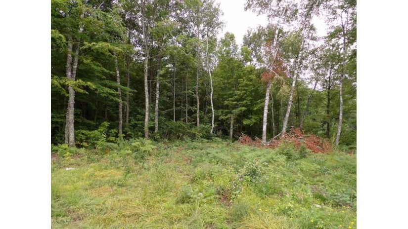 On Circle B Rd. Road Winter, WI 54896 by Birchland Realty Inc./Phillips $44,500