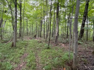 Lot 1 13 1/4 Street, Rice Lake, WI 54868