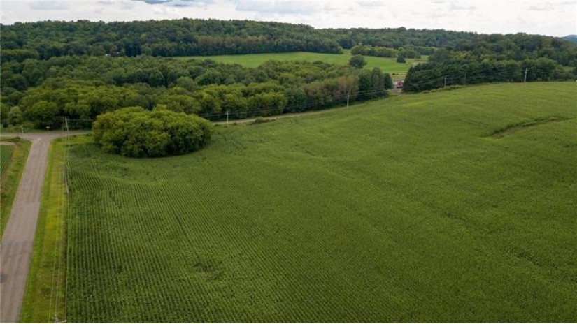 65.25 Acres 550th Street Menomonie, WI 54751 by Eau Claire Realty Llc $599,000