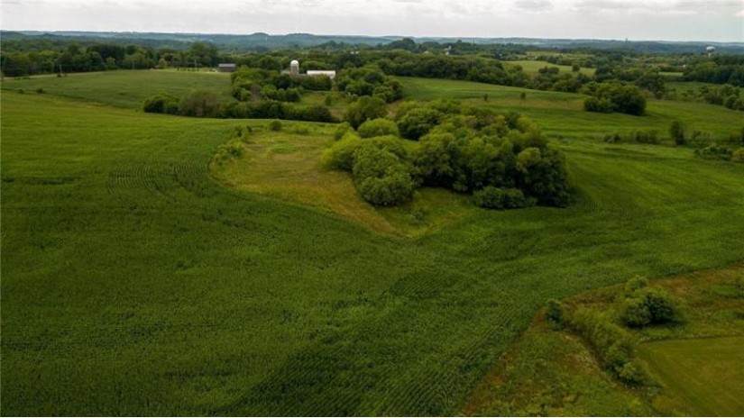 65.25 Acres 550th Street Menomonie, WI 54751 by Eau Claire Realty Llc $599,000