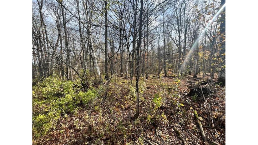 Lot 1 Circle B Road Winter, WI 54896 by Biller Realty $79,900