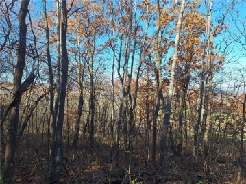 Lot 0 Parker Road, Mondovi, WI 54755