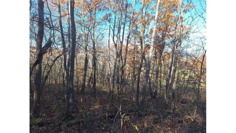 Lot 0 Parker Road Mondovi, WI 54755 by Keller Williams Realty Diversified $59,000