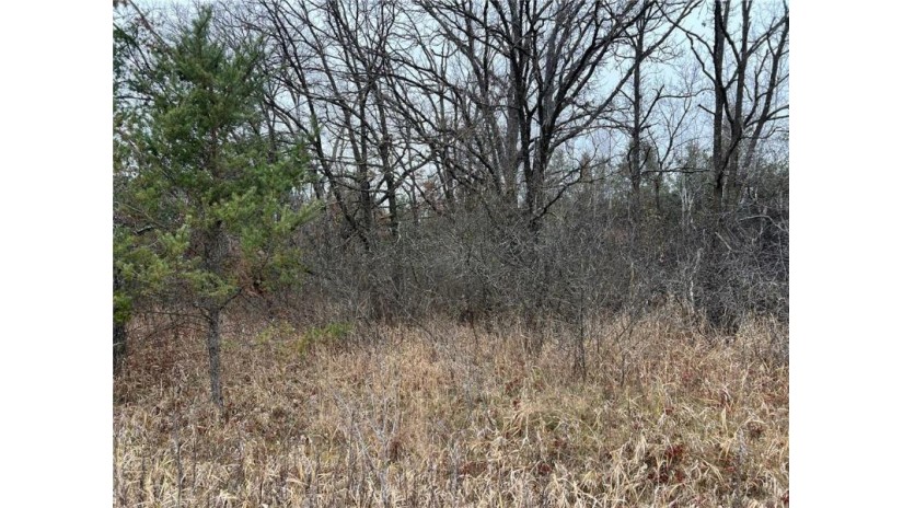 0 Lot 1 Dellview Road Sparta, WI 54656 by Weiss Realty Llc $119,900