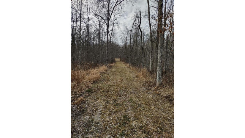 XXX Deer Creek Lane Radisson, WI 54867 by Timber Ghost Realty Llc $129,900