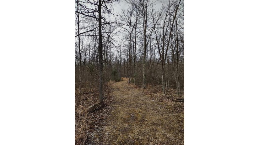 XXX Deer Creek Lane Radisson, WI 54867 by Timber Ghost Realty Llc $129,900