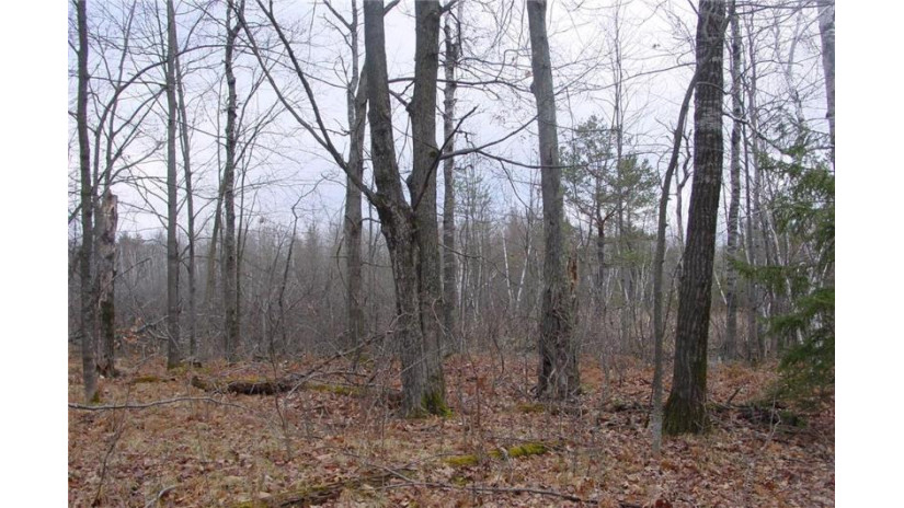 25 Acres On Mae West Road Ladysmith, WI 54848 by Cb Northern Escape/Ladysmith $110,000