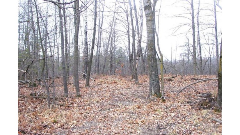 25 Acres On Mae West Road Ladysmith, WI 54848 by Cb Northern Escape/Ladysmith $110,000