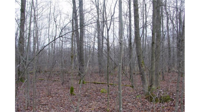 25 Acres On Mae West Road Ladysmith, WI 54848 by Cb Northern Escape/Ladysmith $110,000