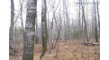 25 Acres On Mae West Road Ladysmith, WI 54848 by Cb Northern Escape/Ladysmith $110,000