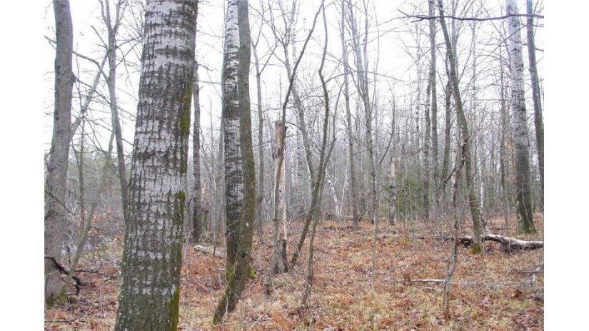 25 Acres On Mae West Road Ladysmith, WI 54848 by Cb Northern Escape/Ladysmith $110,000