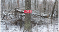 LOT 3 Blackberry Rd Trego, WI 54888 by Woods & Water Real Estate Llc, Ellsworth $34,900