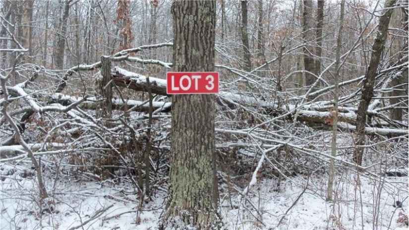 LOT 3 Blackberry Rd Trego, WI 54888 by Woods & Water Real Estate Llc, Ellsworth $34,900