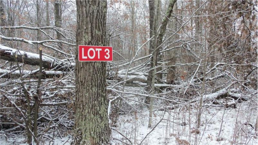 LOT 3 Blackberry Rd Trego, WI 54888 by Woods & Water Real Estate Llc, Ellsworth $34,900