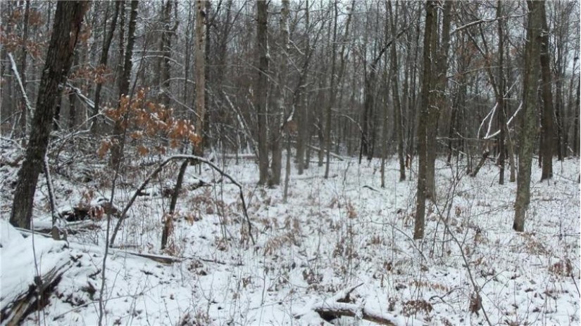 LOT 3 Blackberry Rd Trego, WI 54888 by Woods & Water Real Estate Llc, Ellsworth $34,900
