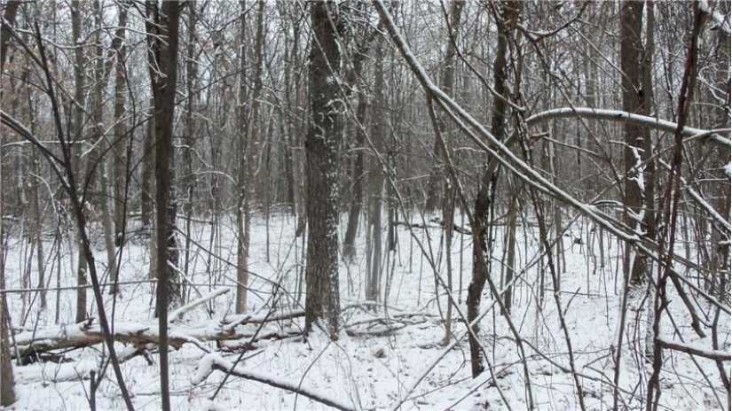 LOT 3 Blackberry Rd Trego, WI 54888 by Woods & Water Real Estate Llc, Ellsworth $34,900