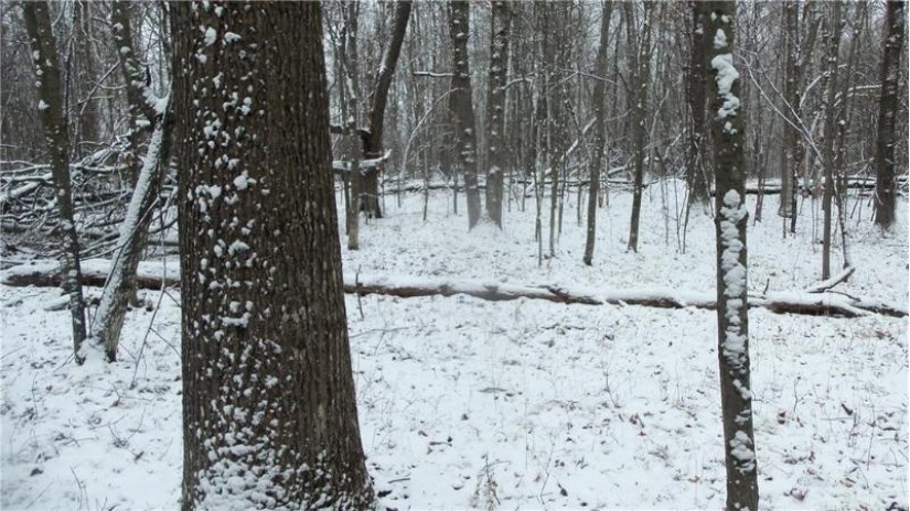 LOT 3 Blackberry Rd Trego, WI 54888 by Woods & Water Real Estate Llc, Ellsworth $34,900