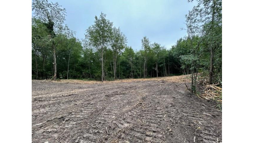 Lot 10 776th Avenue Spring Valley, WI 54767 by Westconsin Realty Llc $42,900