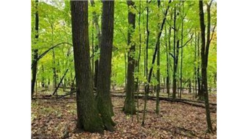 XXX Co Rd W Frederic, WI 54837 by Timber Ghost Realty Llc $1,400,000