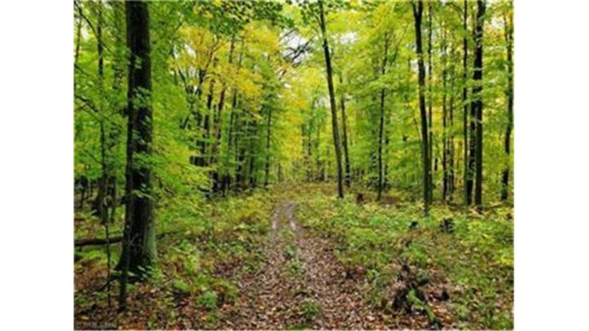 XXX Co Rd W Frederic, WI 54837 by Timber Ghost Realty Llc $1,400,000