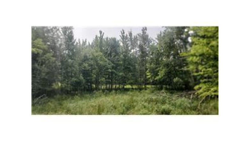 Lot 4 xxx County Road D Clayton, WI 54004 by Compass Realty Group $79,500