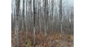 80 acres Tar Paper Alley Brule, WI 54820 by Woodland Developments & Realty $125,000