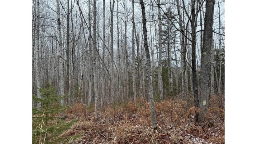 80 acres Tar Paper Alley Brule, WI 54820 by Woodland Developments & Realty $125,000