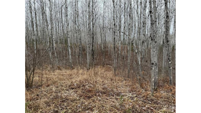 80 acres Tar Paper Alley Brule, WI 54820 by Woodland Developments & Realty $125,000