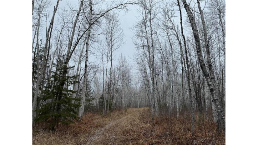 80 acres Tar Paper Alley Brule, WI 54820 by Woodland Developments & Realty $125,000