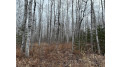 80 acres Tar Paper Alley Brule, WI 54820 by Woodland Developments & Realty $125,000