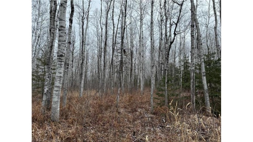 80 acres Tar Paper Alley Brule, WI 54820 by Woodland Developments & Realty $125,000