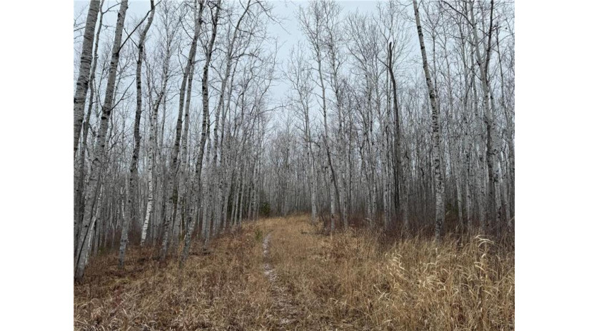 80 acres Tar Paper Alley Brule, WI 54820 by Woodland Developments & Realty $125,000