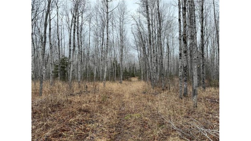 80 acres Tar Paper Alley Brule, WI 54820 by Woodland Developments & Realty $125,000