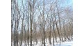 Lot 13 Sunny Side Road Jump River, WI 54766 by Riverbend Realty Group, Llc $74,900