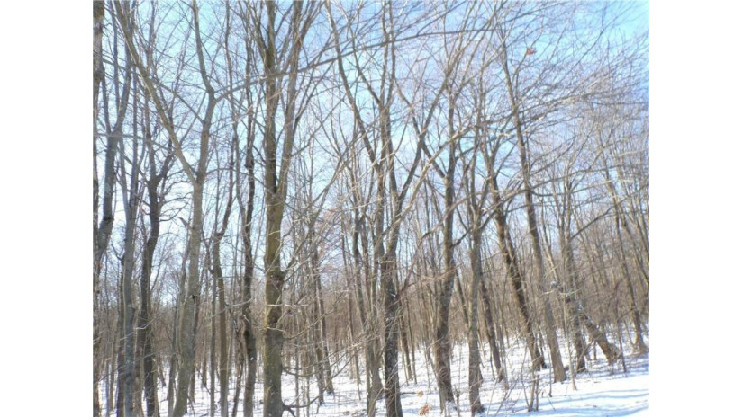 Lot 13 Sunny Side Road Jump River, WI 54766 by Riverbend Realty Group, Llc $74,900