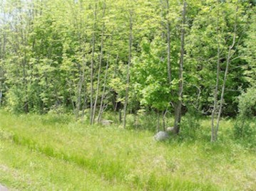 Lot 13 On Margaret Lane, Park Falls, WI 54552