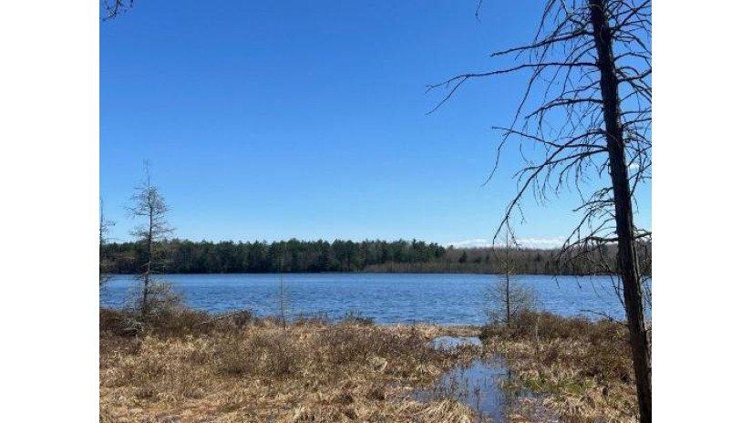 0000 Bass Lake Road Webster, WI 54893 by Local Realty $139,900