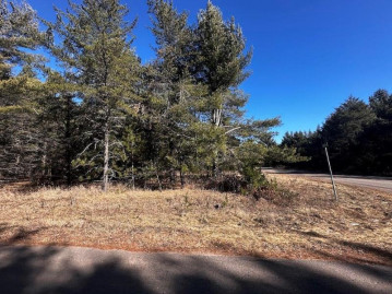 Lot 8 N Riverside Road, Cable, WI 54821